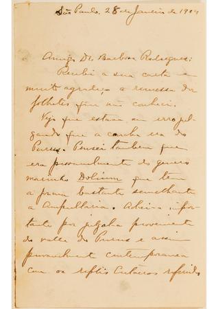 [Carta de Orville A. Derby a João Barbosa Rodrigues, escrita de São Paulo em 28 de janeiro de 1904]